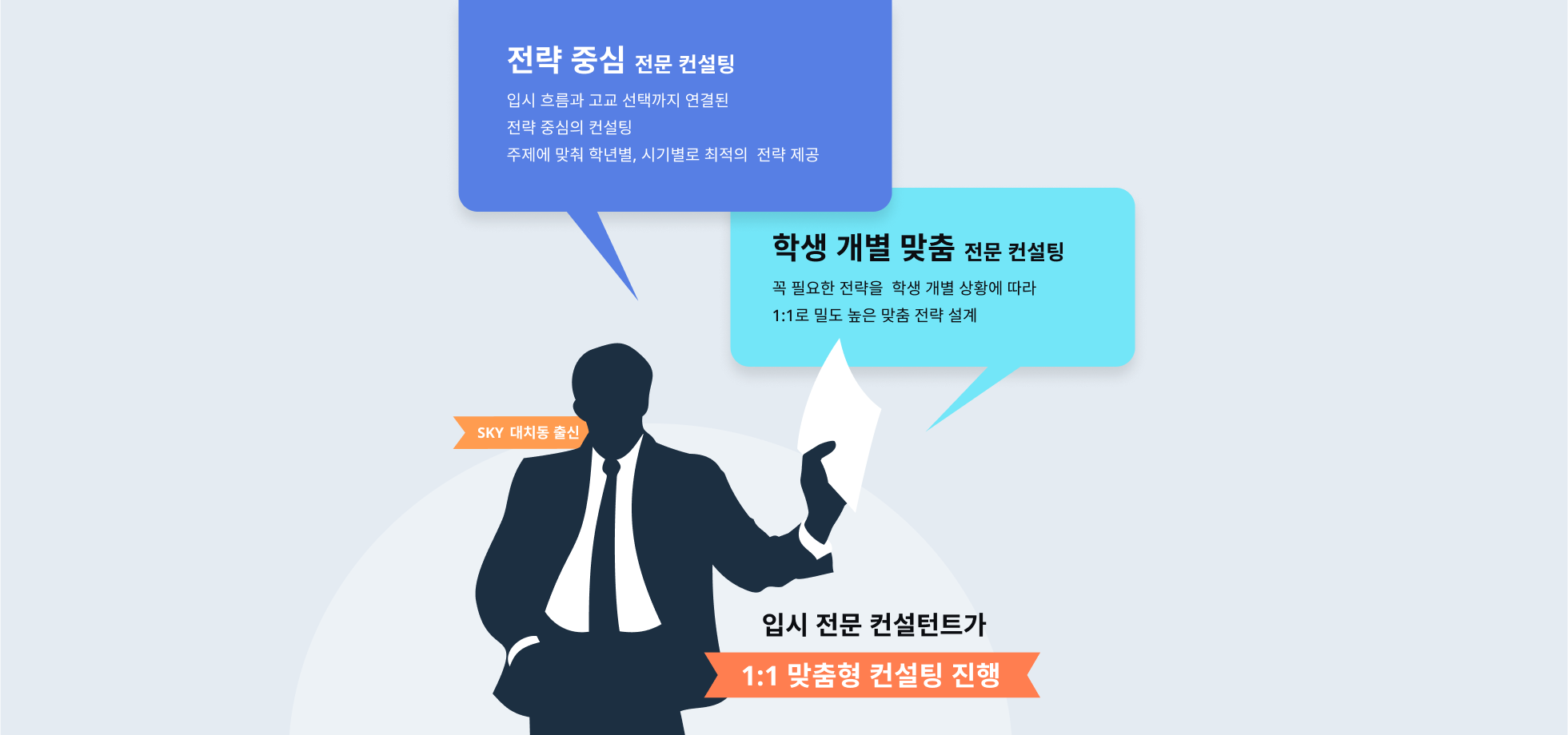 전략 중심 전문 컨설팅, 학생 개별 맞춤 전문 컨설팅
